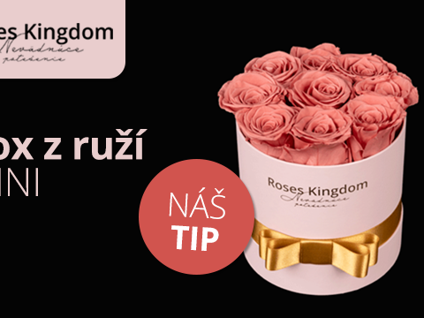 Roseskingdom.sk Box z ruží MINI